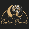Caelum Elements logo